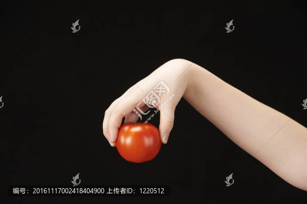 孩子的手與番茄