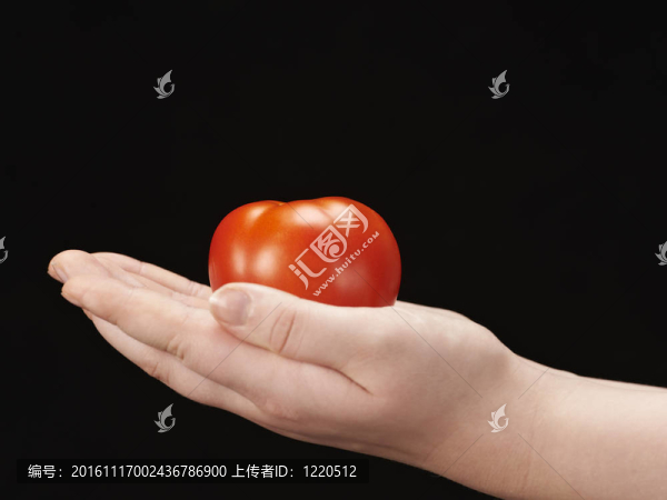 番茄在孩子的手心朝上