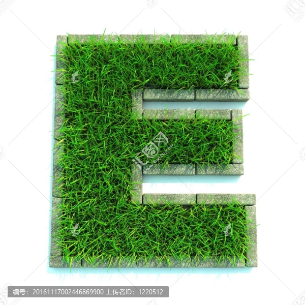 美麗的春天的信草和周圍的邊界