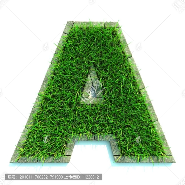 美麗的春天的信草和周圍的邊界