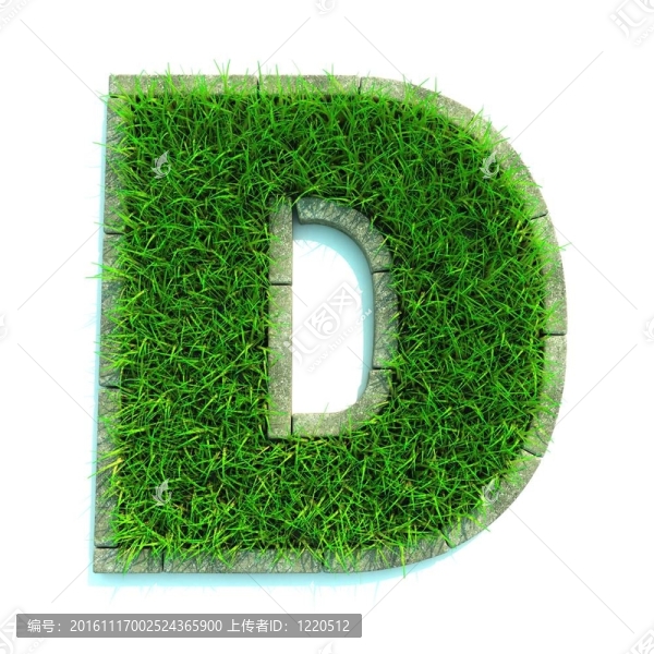 美麗的春天的信草和周圍的邊界