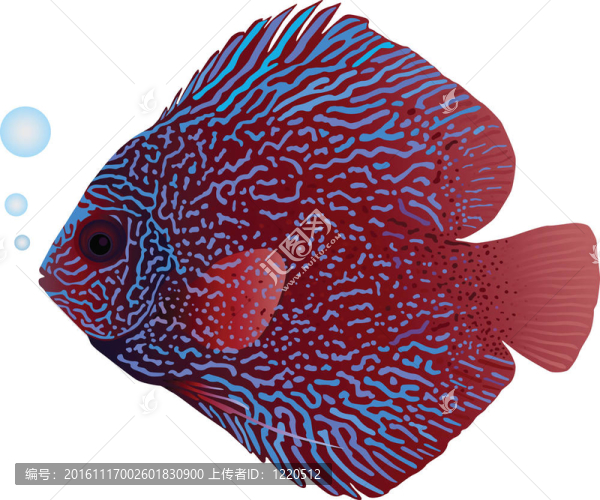 鐵餅魚