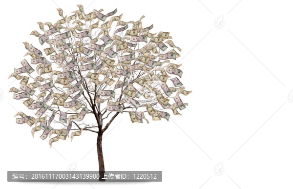 白色背景下的搖錢樹