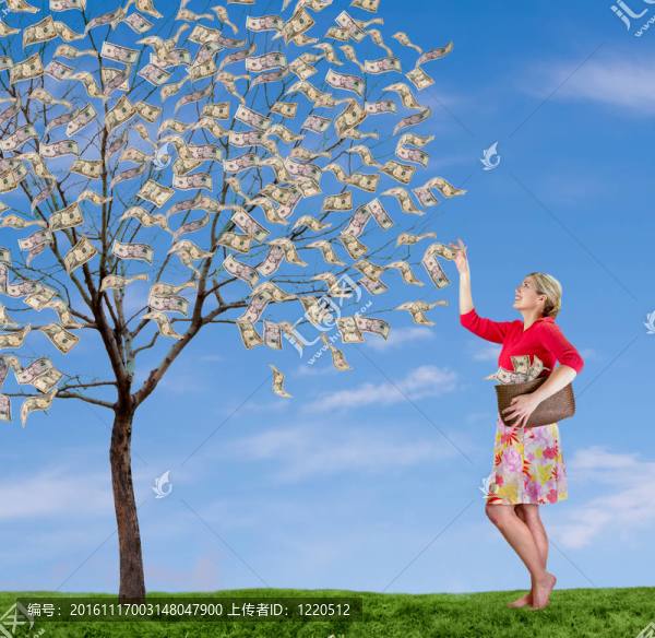 一個(gè)女人從樹上撿錢