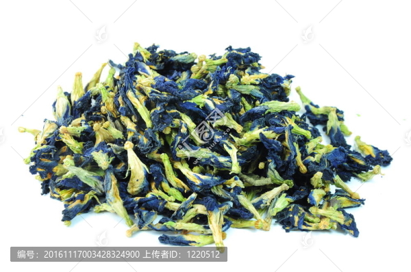 亞洲蝶豆花