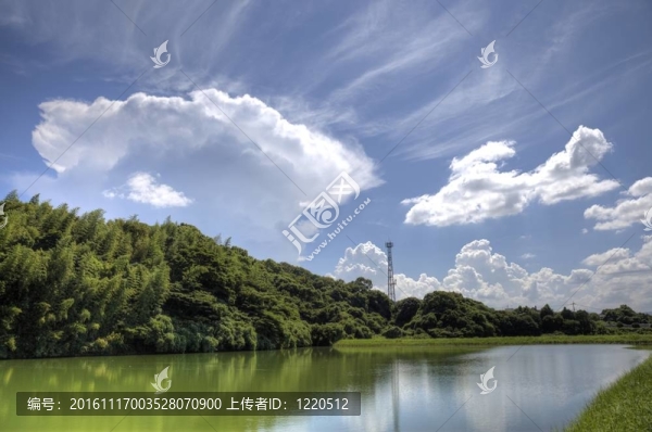 池塘；森林；藍(lán)天白云