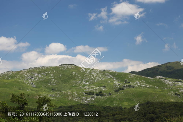 Hills；山谷和草地上平生