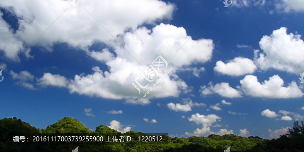 guajataca森林保護(hù)區(qū)-波多黎各