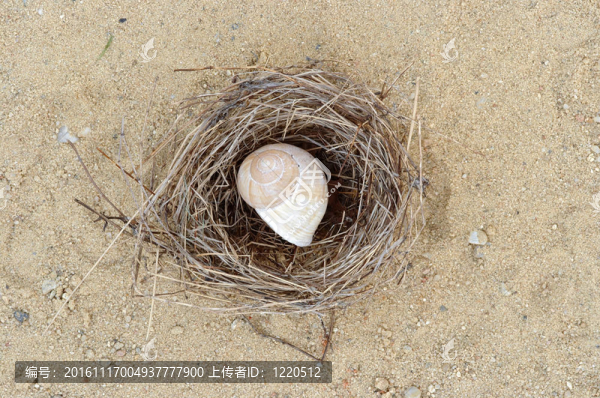 隱士
