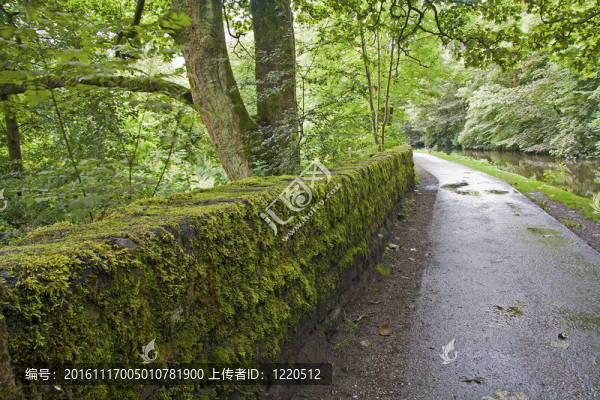 運河纖道