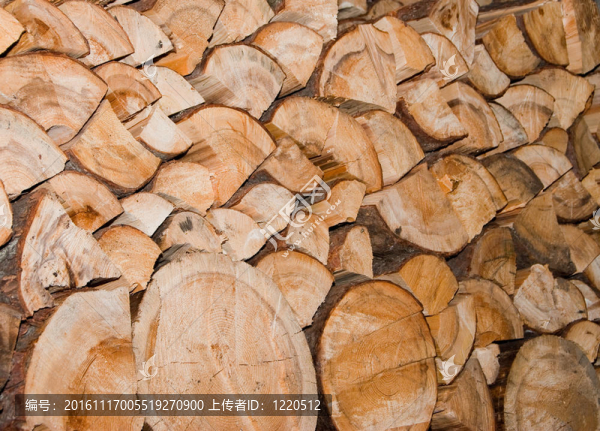 chopeed樹(shù)-透視