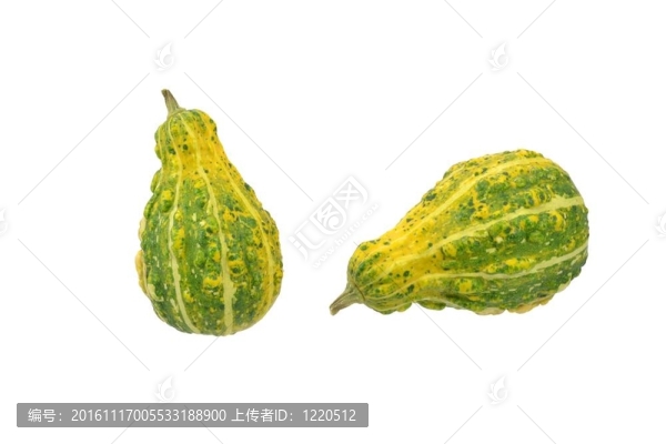 迷你南瓜