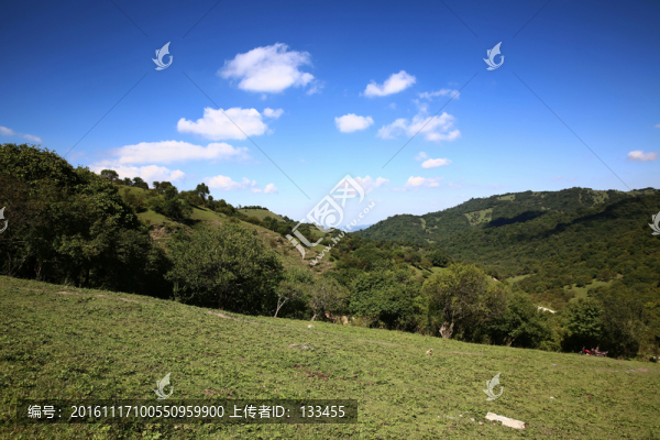 關(guān)山牧場