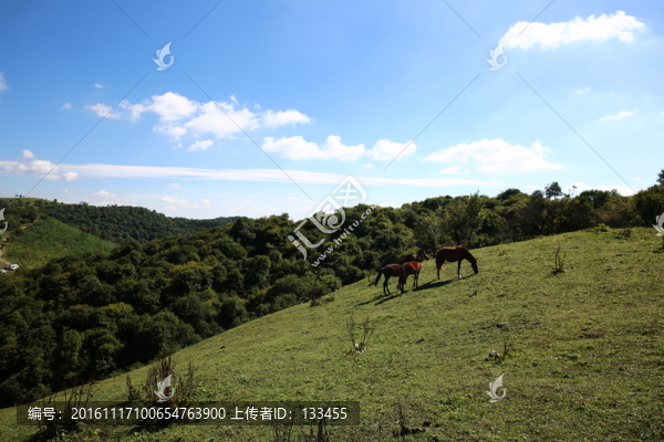 關(guān)山牧場(chǎng)