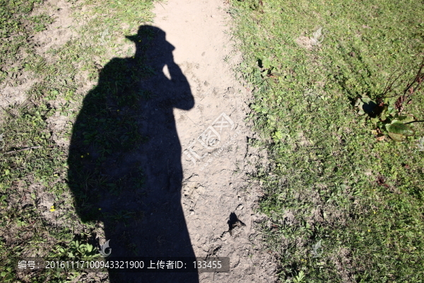關(guān)山牧場