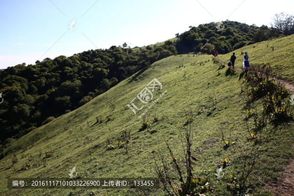 關(guān)山牧場