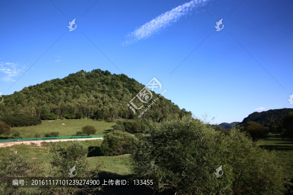 關(guān)山牧場