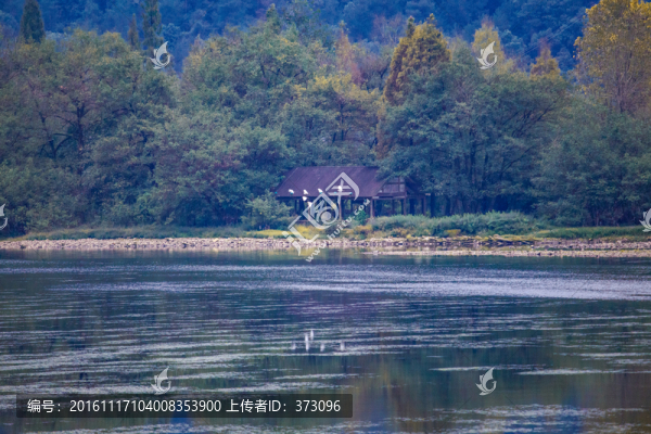 湖邊森林