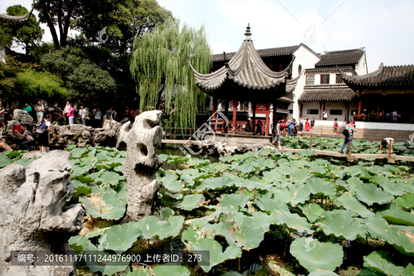 蘇州獅子林風光