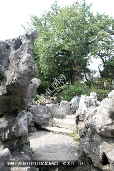 蘇州獅子林風(fēng)光
