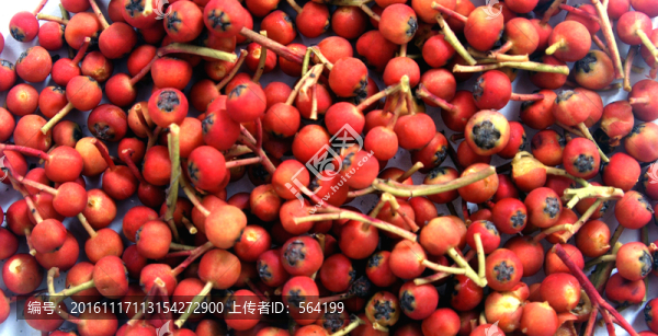 紅豆
