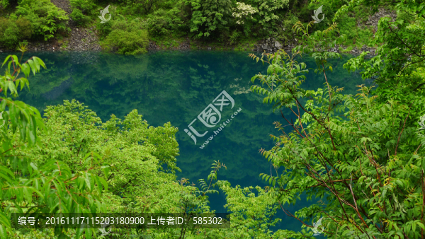 碧潭綠樹(shù)