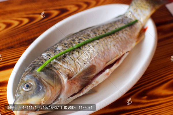 紅燒野生鯉魚