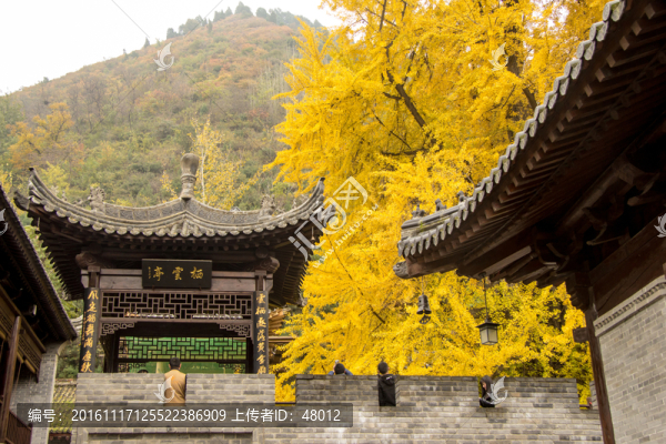 秦嶺山下古觀音禪寺