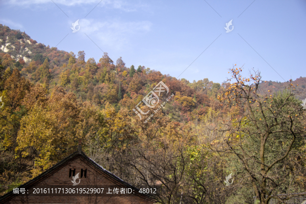 秦嶺山居