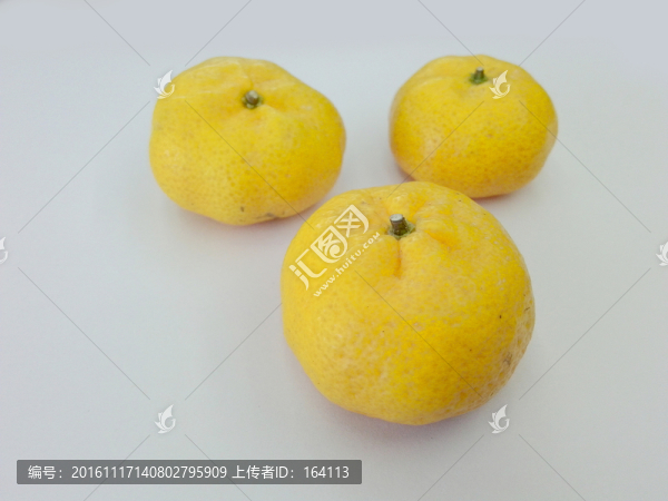 南豐蜜桔