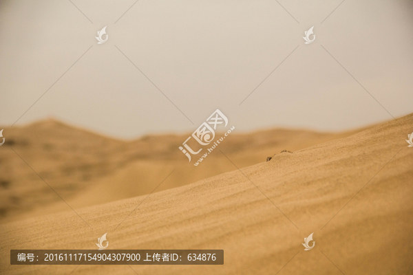 沙漠