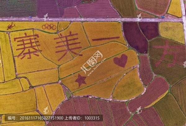 稻田里的字
