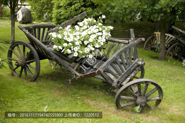 裝滿鮮花的舊木馬車