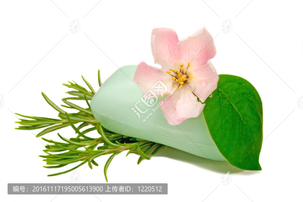 美容的