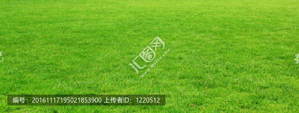 綠色安全隔離