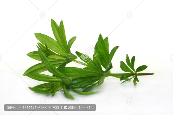 半圓