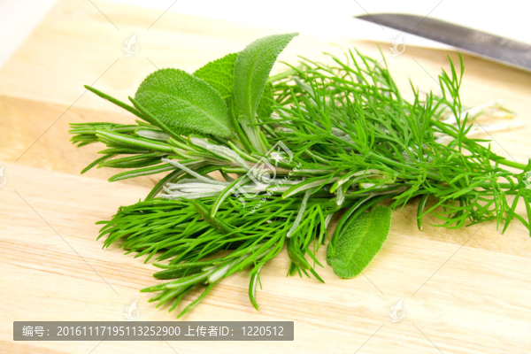 草本植物