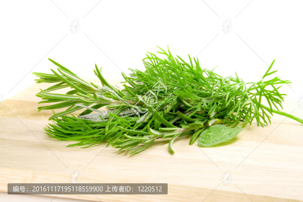 草本植物