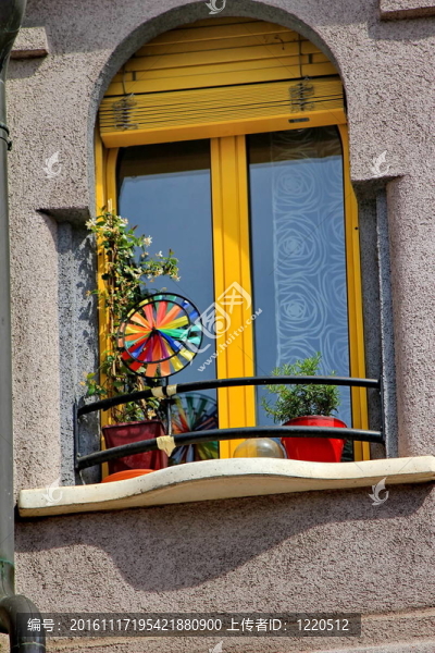 Windows和鮮花