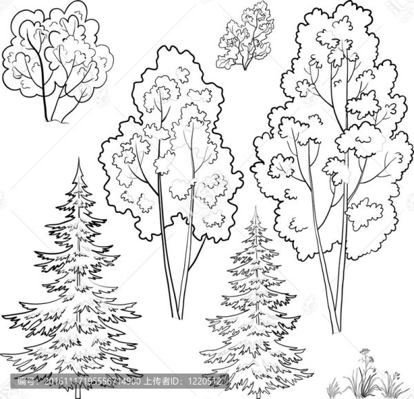 植物；集合；輪廓