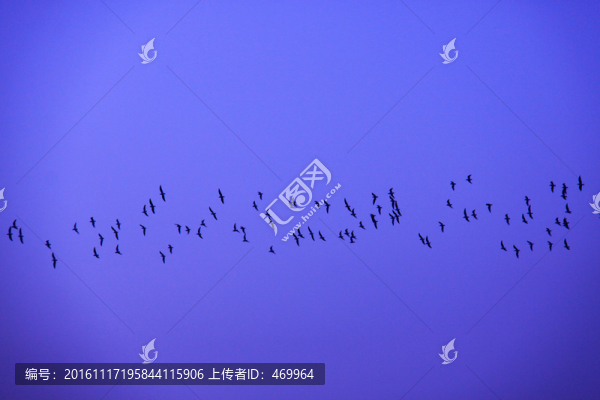 黑島日出