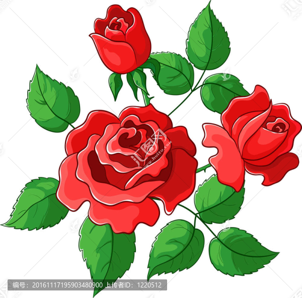 鮮花玫瑰