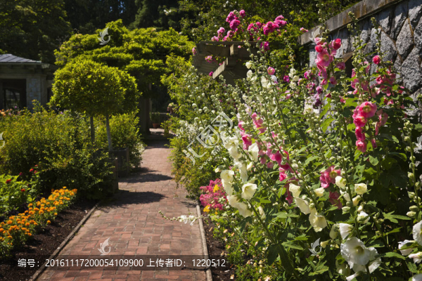豐富多彩的花園