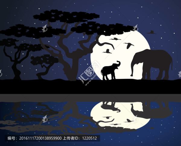 非洲的大象