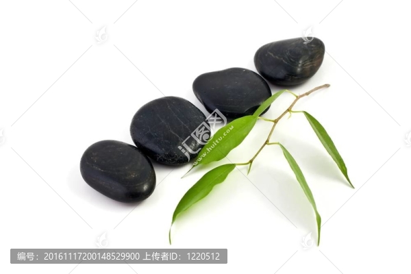 石頭和樹葉