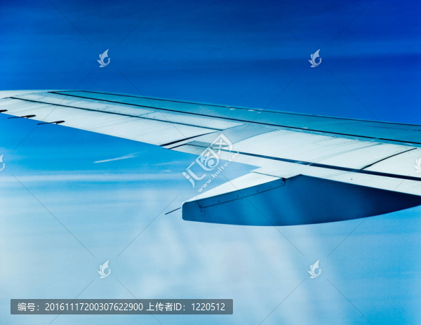 飛機(jī)的機(jī)翼