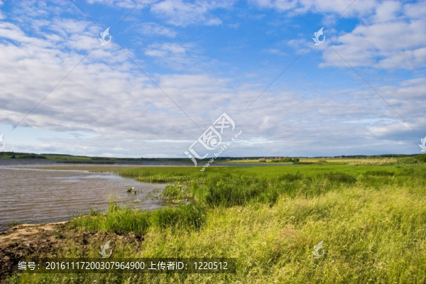 夏天的風(fēng)景