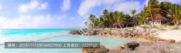 加勒比圖倫墨西哥熱帶海灘的全景