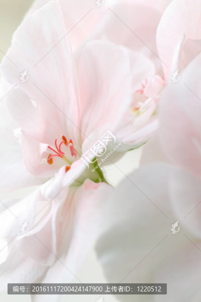 完美的創(chuàng)造