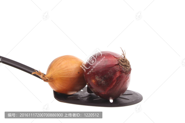 勺子上的洋蔥